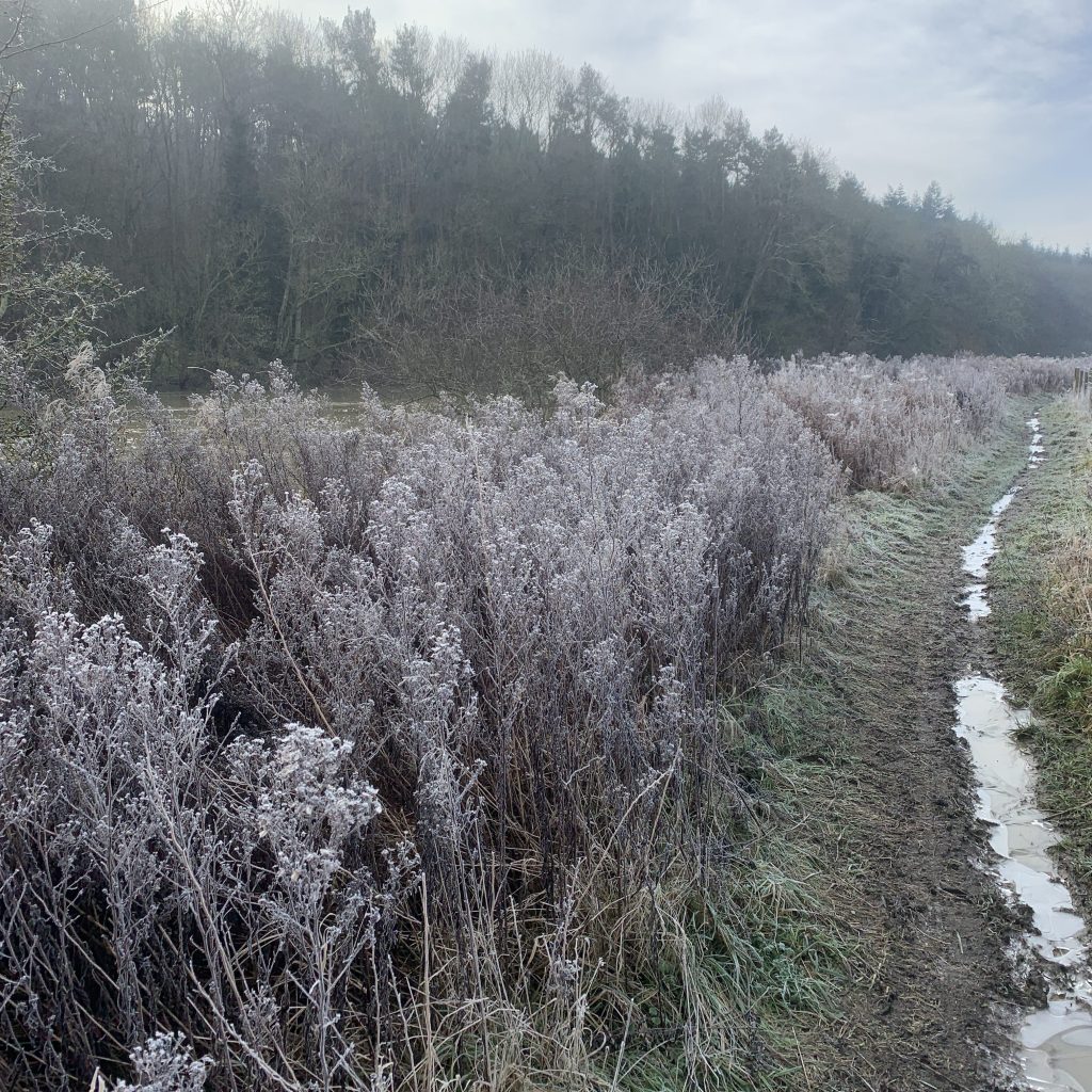 The Trails of&nbsp;Oxfordshire
